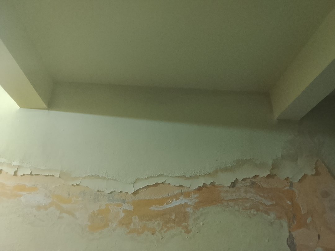 Reformar minha casa